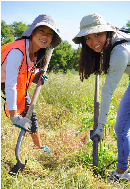two volunteers clear a site for Monkeyflower planting